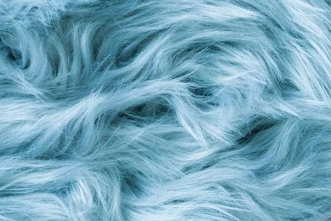 Blue fur texture top view. Blue sheepskin background. Fur pattern. Texture .. Stock Photos