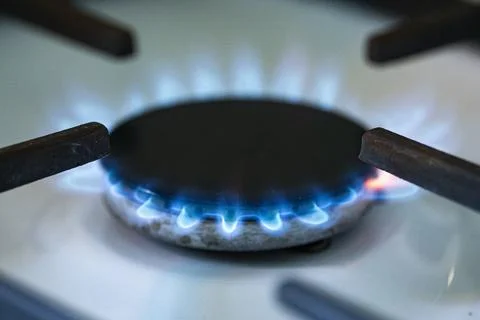 Blue Gas Flame Burning on Kitchen Stove Burner Close Up 库存照片