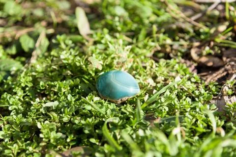 Blue gemstone on grass Stock Photos