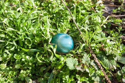 Blue gemstone on grass Stock Photos