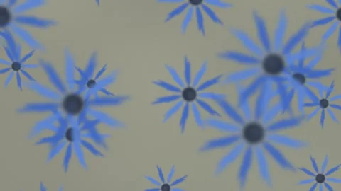 Blue geometric floral pattern design. 2d animation Stock Footage 345391860