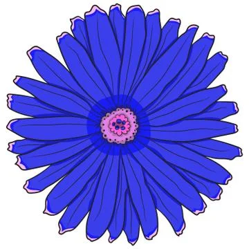 Blue gerbera. Vector illustration. Drawing by hand. Stock Illustration