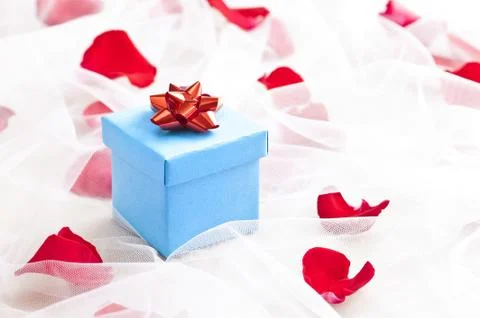 Blue gift box with red bow on wedding veil Stock Photos