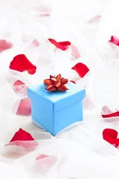 Blue gift box with silver bow on wedding veil Stock Photos