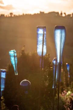 Blue glass bottles as garden decoration at sunset Stock Photos
