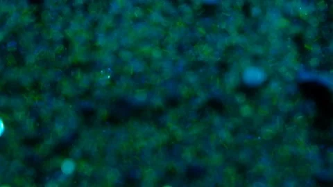 Blue glitter background in slow motion. Stock Footage 239416124