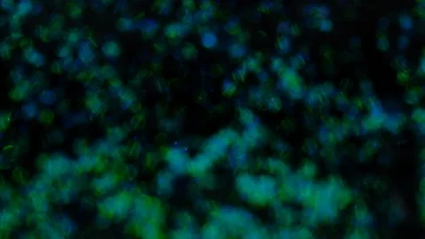 Blue glitter background in slow motion. Stock Footage 239416137