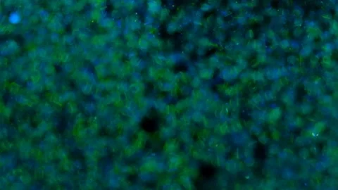 Blue glitter background in slow motion Stock Footage 239416138
