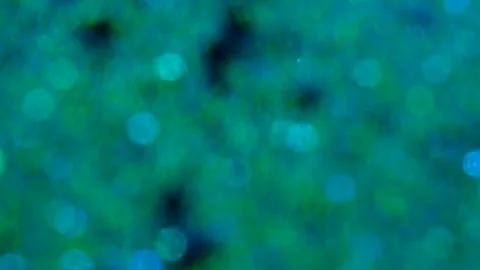 Blue glitter background in slow motion Stock Footage 239416186