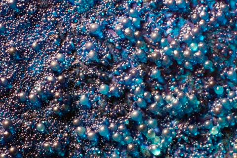 Blue globules closeup Stock Photos