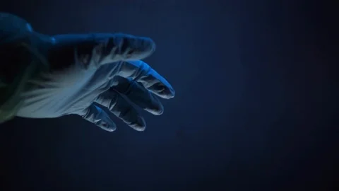 Blue gloves on a hand on a grey background 스톡 동영상 127117217