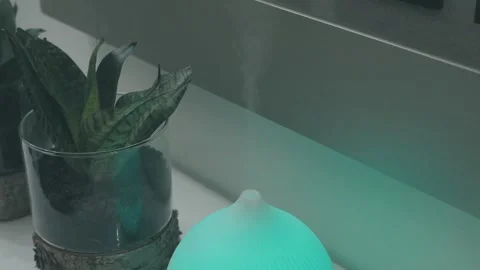 Blue glowing aroma diffuser and potted plant on modern white shelf Stock Footage 309746595
