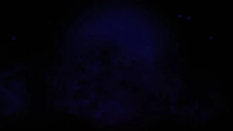 Blue Glowing Particles Animation Background Loop Stock-Footage 236798531
