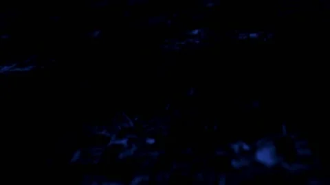 Blue Glowing Particles Animation Loop Stock Footage 218976717