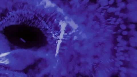 Blue Glowing Particles Fast Motion Background  Stock Footage 240540212