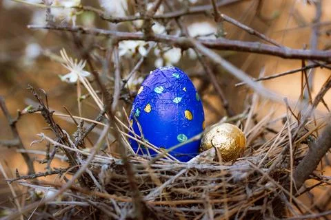Blue gold decorative Easter eggs in bird's nest Festive spring season holiday Stock Photos