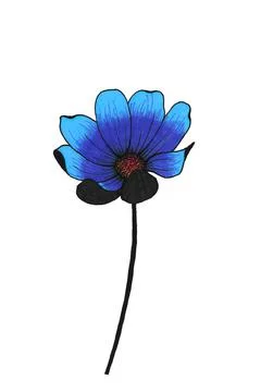 Blue gradient cosmea flower on a long black stem with open petals illustration Stock Illustration