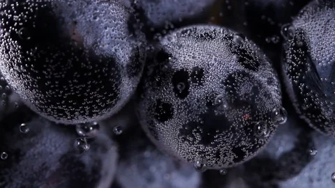 Blue Grape Close Up Macro in Mineral Water with bubbles. Stock Footage 82794854