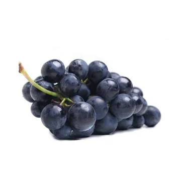 Blue grape cluster Stock Photos
