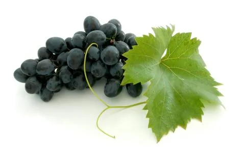 Blue grape cluster Foto stock