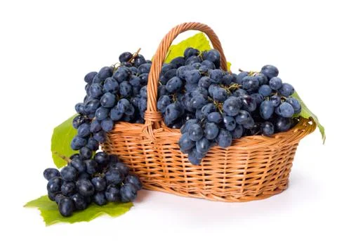 Blue grape clusters in basket Stock Photos