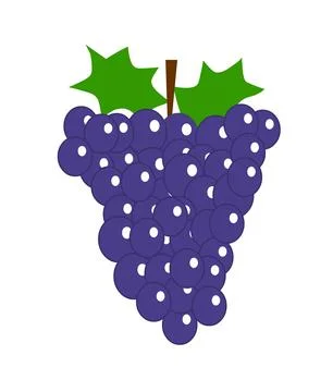Blue grape illustration Illustrazione stock