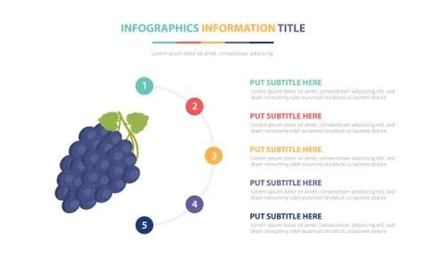 Blue grape infographic template concept with five points list and various col Illustrazione stock