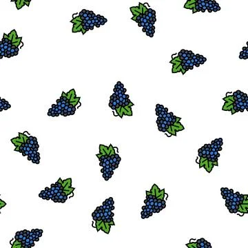 Blue grapes bunch vector seamless pattern Stock Illustration