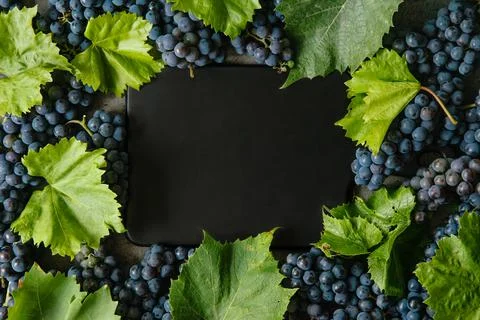 Blue grapes with green leaf on a rustic background. Stock Photos