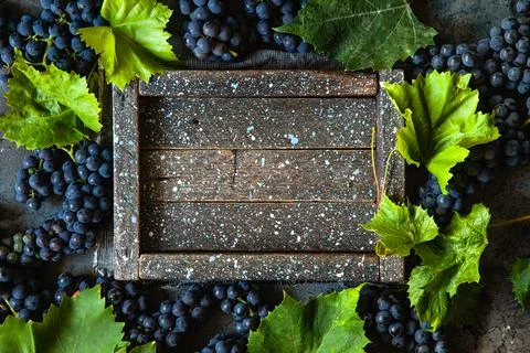 Blue grapes with green leaf on a rustic background. Фото