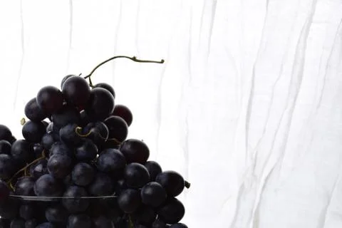 Blue grapes, light background Stock Photos