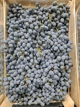 Blue grapes. Market stalls are filled with ripe fruits Foto stock