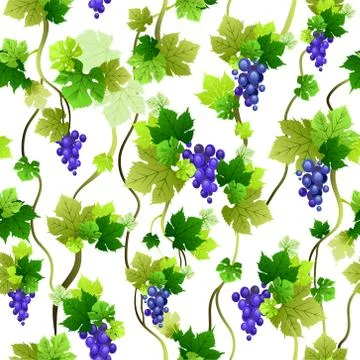Blue grapes pattern Stock Illustration