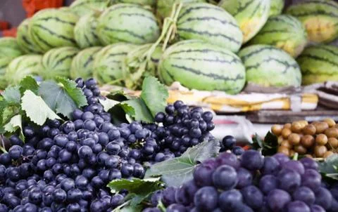 Blue Grapes Stock Photos