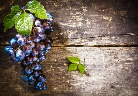 Blue grapes on rustic board Stock Photos