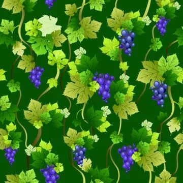 Blue grapes seamless pattern on dark green Illustrazione stock