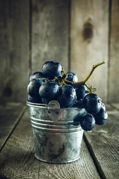 Blue grapes in small bucket Stock Photos