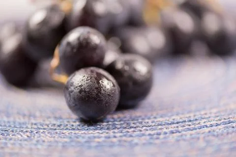 Blue  grapes on the table. View with copy space Foto stock