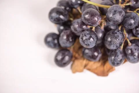 Blue grapes on the table. View with copy space Stock Photos