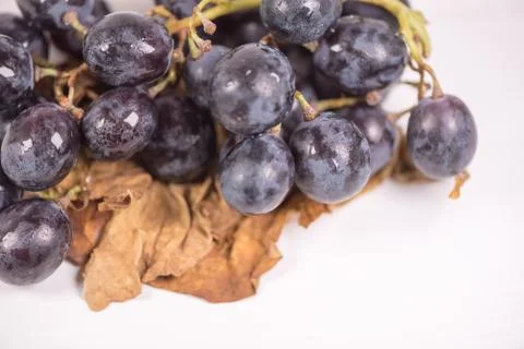 Blue grapes on the table. View with copy space Stockfoto's