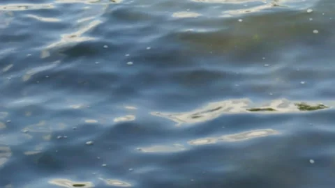 Blue-gray water surface, Wallpaper, Germany, Europe Stock Footage 257757970