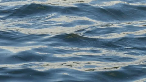 Blue-gray water surface, Wallpaper, Germany, Europe Stock Footage 257757975