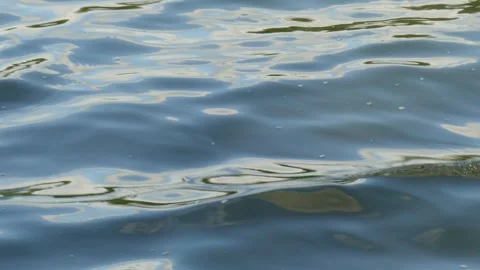 Blue-gray water surface, Wallpaper, Germany, Europe Stock Footage 257758016