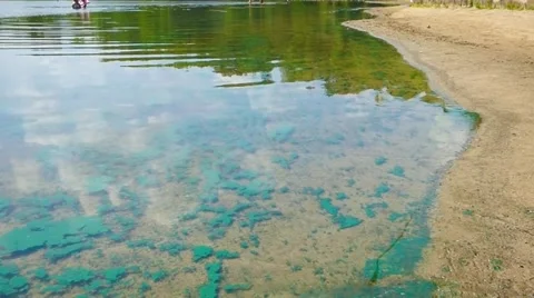 Blue green algae Stock Footage 40954913