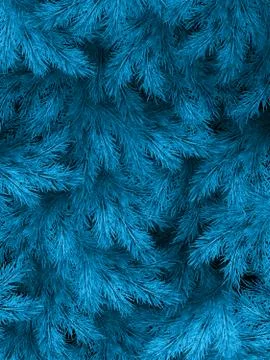 Blue green branches of a fur-tree, spruce or pine with copyspace. EPS 10 Stock Illustration