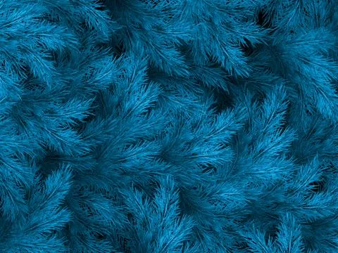 Blue green branches of a fur-tree, spruce or pine with copyspace. EPS 10 Stock Illustration