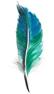 Blue green feather Stock Illustration