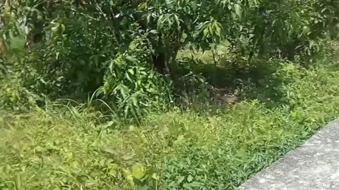 Blue &amp; Green Formation Stockbeeldmateriaal 200500356