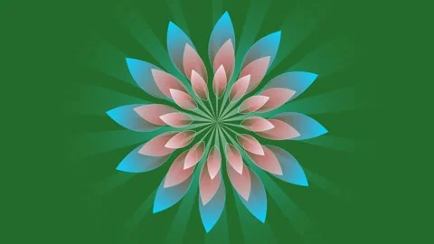 Blue, Green, Pink Flower on Green Screen Background Horizontal 16:9 Stock Footage 339330053