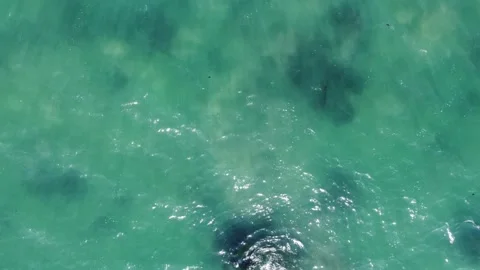 Blue Green Waves Video stock 160223310